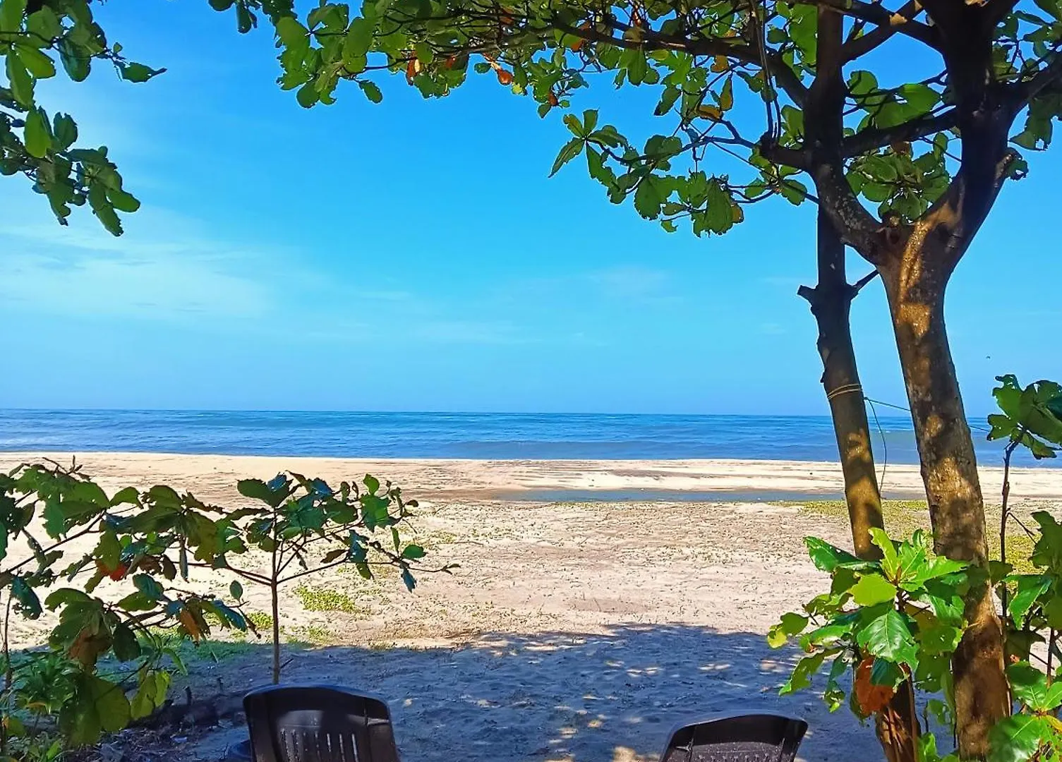 לינה וארוחת בוקר Alappuzha Beach Clan Dorms הודו